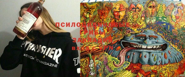 бошки Баксан